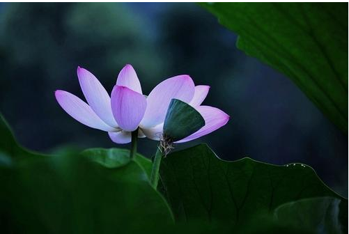 大师说 超度冤亲债主影响感情生活