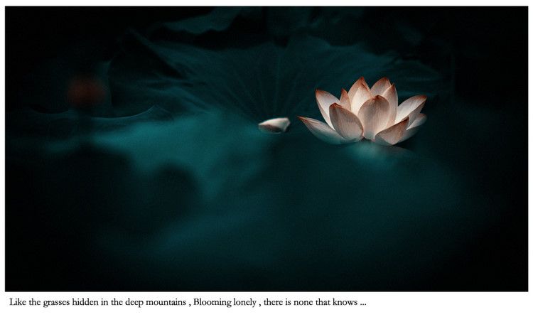 泰国补财库九桶金/做一场补财库多少钱