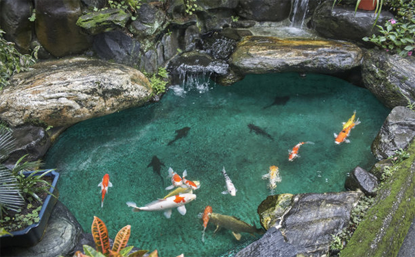 改运气最快的改阴债，你们一定要知道的还阴债