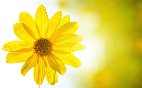 还阴债多久起效果,怎么知道还阴债是否成功