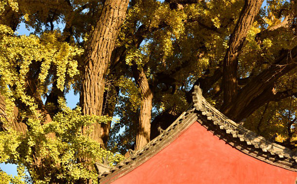 害怕鬼?戴一面镜子在身上试试