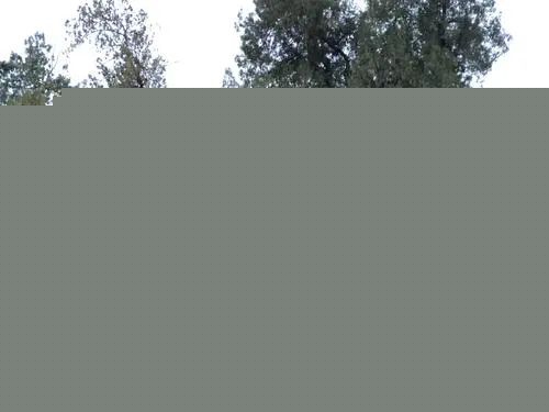 泰国还阴债能不能行呢?详细解析还阴债的流程