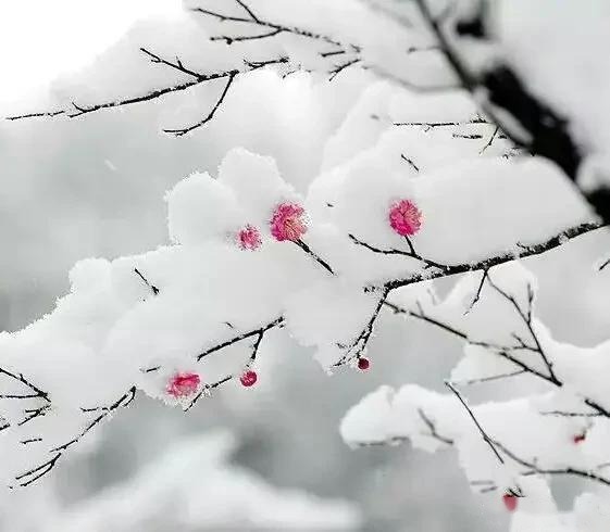 道家不传秘法——催桃花,催婚姻,催子女