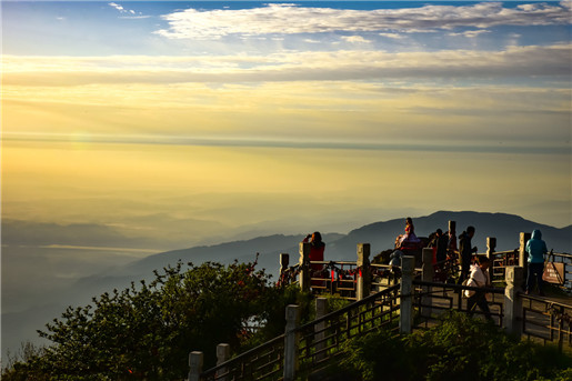 /size
1.眼光如水:眼睛水汪汪、眼神似笑非笑的人天生桃花很旺,电力超强。
2.天生卷发:天生卷发的人喜欢尝新,而且本身也很有魅力,喜欢到处放电,生性淫荡。
3.眼白有痣:眼白有痣的人天生带有强烈的桃花,不管到哪里都是强力发电机,异性都会不断的投怀送抱。
4.股道道乱毛:屁股沟有痣的人一生桃花不断,做事情往往都以下半身思考。
5.桃花纹:手掌边缘有很多细纹称为桃花纹,桃花纹越多的人异性缘越好,桃花越旺。
6.感情线复杂:感情线非常复杂的人异性缘很好,因此这辈子感情生活非常精采,一生中桃花不断
面相学----耳朵耳朵是人的感管之一,我们每天都通过耳朵接收各种不同的讯息,所以耳朵被喻为听采宫。耳朵在相学上是判断金运、智力和体况的部位。又,耳朵可以判断幼年时代的状况如何。如耳朵贫弱的幼童,不但身体虚弱,而且智能也较低。耳朵可分为上、中、下三部分:上为天轮,中为人轮,下为地轮(天廓、地廓即是)。并以此判定人的和、智、情。
1、大耳稳重谨慎头脑清醒
耳大耳门亦大,耳门的的宽度也可见人的气度与聪明度。耳门宽大,一般来说,都是心胸比较宽阔的人!所谓:“耳门宽广,聪明豁达”——表现出丰沛的吞吐能量,故能拥有广大的胸襟!耳大是有福的命相,是为理智型的人,对知识的追求和好奇更强,具备过人的见解,是非善恶,真理俗见,均能了然于胸。生命力充沛,个性稳重谨慎、做事头脑清醒、实实在在、脚踏实地,并且任劳任怨。大耳之人一般都智谋远大、性情豁达,一生运佳、事业必然有成。各自领域的大人物,平时只要细心观察,就会发觉周围的大老板、大学者、大官员都有着一副大耳,这就大耳的神奇之处!
2、小耳感情用事,情急冲动
小耳的人是为感性型的人!情感较为之细腻,而意志不够坚定。他们可是很容易被别人的意见所左右的人。生活上的困惑特多,往往为芝麻绿豆的小事而过意不去,不太爱面对现实。因自我意识强,所以对别人中肯的意见较难接纳,进而影响到人际关系。判断力较差,感情用事,个性冲动,心直口快。不定性,是为急性子且率性的人。此人对用钱较无计划,一生难有积蓄,不太适合做生意。慎重规划一下自己的人生,别把自己搞得一团糟唷!
3、厚耳肉厚的耳,财源广进
找个厚耳的人当老公!耳朵有肉,耳大肥厚,是长寿的长相,他长寿,就可以和你厮守终身,最幸福的就是可以比你爱的人先死,他那么长寿你的愿望不难达成!整只耳朵圆圆的,而且肉又很厚的耳朵,内廓的形状也好,结实有力。这种耳朵,有一种亲手造成富豪的运气,至于这笔亲手挣来的财富,能不能守得住,这就要和下巴的相配合起来观察,才能够知道。这种耳朵的人,善于活动,很有气魄,还有一套利用别人来经营事业的手腕。也善于应付各种变化。有这样的男人,可以把大事交给他考虑啦!
4、薄耳肉薄的耳,财总不聚
![「」利用植物「仙人掌或铁树」斩桃花的方法