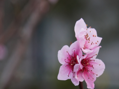挽回男朋友的最好时间，教你如何在正确的时间挽回他