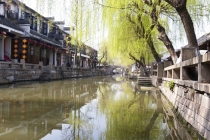 还受身债：阴债妖夫，阴债不还，婚姻难成，爱情之路困难