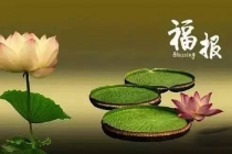 超度堕胎：上海玉佛寺堕胎婴灵法会 , 超度婴灵可以去普陀山吗