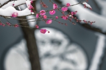 传统文化：为什么噩梦连连,揭秘做噩梦的原因,还有解决噩梦之法