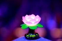 超度法事：把去世多年的人挂牌超度，能否有效果 