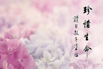 灵婴超度：请法师超度婴灵多少费用 , 给过世的人超度念什么经