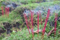 传统文化：年轻人结婚率越来越低，八字算命给你解惑
