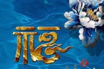 开补财库：补财库只有师傅简介／八字看财库