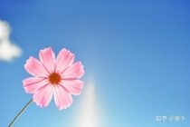 旺桃花：如何催旺自己的桃花运？招桃花很灵的方法。