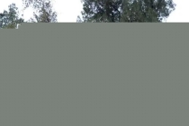 还受身债：泰国还阴债能不能行呢？详细解析还阴债的流程