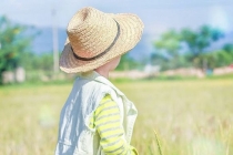 传统文化：当小孩惊吓晚上叫还是中午叫，根据孩子情况来