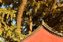 传统文化：害怕鬼？戴一面镜子在身上试试