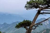 解太岁：化太岁祈福注意事项