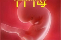灵婴超度：道教超度婴灵，堕胎婴灵超度方法 ， 道教超度咒经文