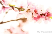 旺桃花：澐清阁元辰宫——招桃花的方法