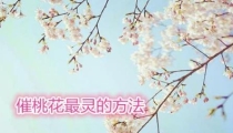 旺桃花：催桃花最灵的方法