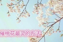 旺桃花：催桃花最灵的方法
