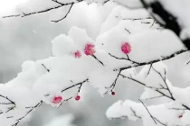 旺桃花：道家不传秘法——催桃花，催婚姻，催子女