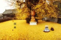 传统文化：民间简单破解犯小人方法，步骤少，见效快