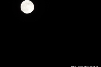 开补财库：人的阴债，与财库财源