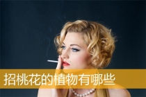 旺桃花：招桃花的植物有哪些