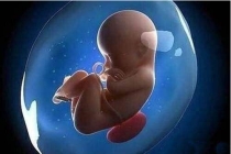 超度堕胎：堕胎会有报应吗，超度堕胎婴灵方法
