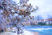 灵婴超度：流产后怎么化解孩子,如果没有化解婴灵,后果可是很严重