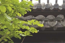 超度法事：当你梦见上坟烧纸，不同的梦境有着不一样的意