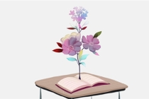 旺桃花：求姻缘最有效的方法有哪些？客厅摆什么花寓意好 ？