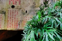 超度法事：猫咪去了喵星球,给小猫渡亡注意事项