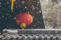 超度堕胎：渡亡堕胎婴灵的经文,来看是如何帮助堕胎婴灵渡亡祈福