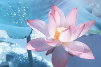 开补财库：家里进门玄关摆什么好？招财纳吉有讲究