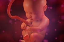灵婴超度：超度婴灵念什么？灵婴超度经文