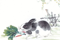 开补财库：八字中什么是财库