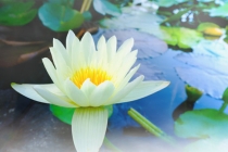 还受身债：不及时还阴债的危害，还阴债流程你一定要懂