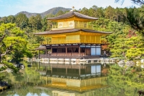 开补财库：家居招财风水方法有哪些,5大招财方法让家庭财气兴旺