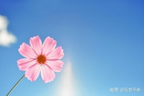 旺桃花：有什么方法可以招桃花？
