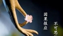 超度堕胎:流产的孩子和父母的缘,应该要做超度