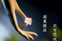 超度堕胎：流产的孩子和父母的缘，应该要做超度
