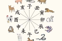 解太岁：地支六冲